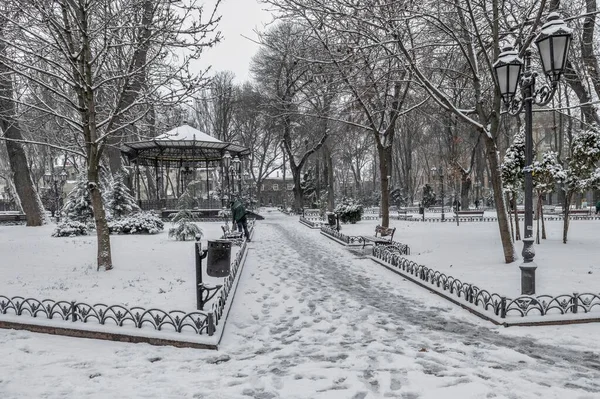 Odessa Ukraine 2023 Gloomy Winter Day City Garden Odessa Ukraine — Stock Photo, Image