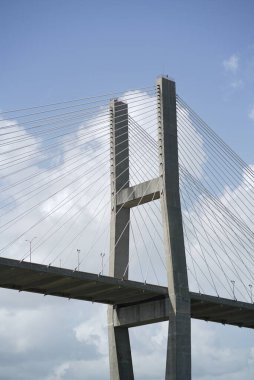 The Savannah Georgia Suspension Bridge