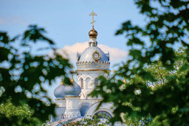 view of an orthodox church through the leaves of a tree