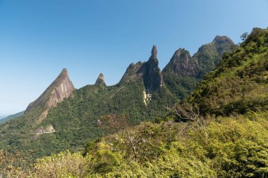 Keskin kayalık dağları olan güzel yeşil yağmur ormanları Rio de Janeiro, Brezilya