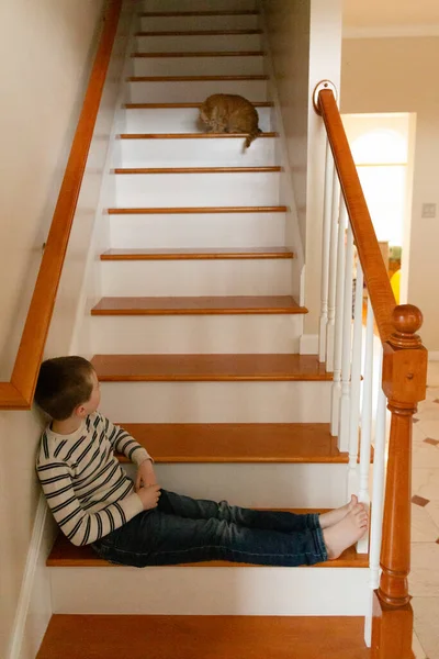 橙色宠物猫俯瞰楼下楼梯 看着腿伸展的男孩坐着 — 图库照片