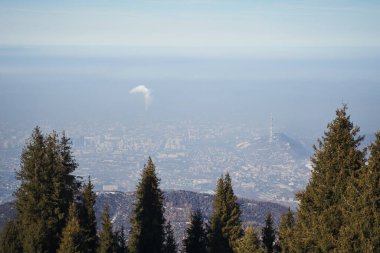 Cityscape with smog and forest.
