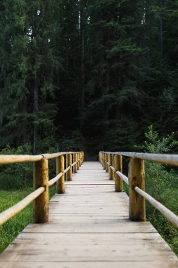 wooden bridge in the middle of the forest in the mountains