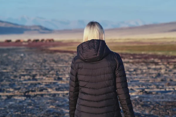 Flicka Blond Resenär Går Mot Hjorden Hästar — Stockfoto