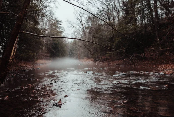 Misty River in Pennsylvania Woods