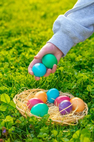 Easter Egg Hunt Child Collects Colored Eggs Spring Meadow — Stock Photo, Image