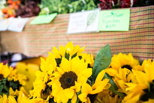 Sunflowers Produce Farmers Market Burlington Vermo — Stock Photo, Image