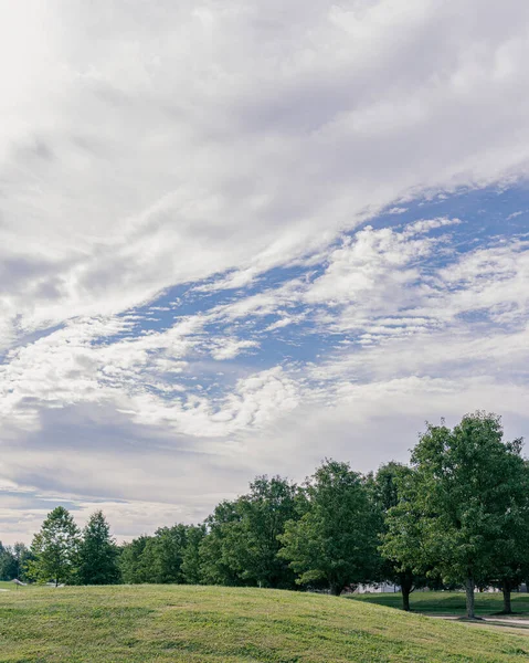 青い空の近所の木のライン — ストック写真