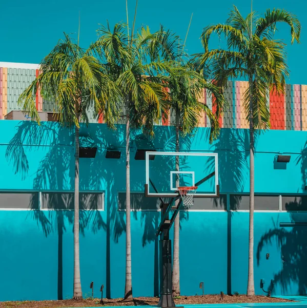 Strand Met Palmbomen Mand Wynwood Miami — Stockfoto