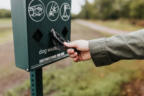Yetişkin Dişiler Köpek Atıklarını Toplamak Için Yürüme Mesafesinde — Stok fotoğraf