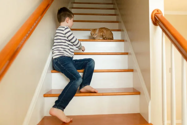 Δημοτικό Αγόρι Ηλικία Πλησιάζει Pet Cat Στις Σκάλες Στο Σπίτι — Φωτογραφία Αρχείου