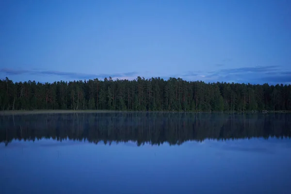 Minimalistic mirror landscape with a forest reflection in the water.