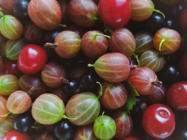 Mixed Berries Closeup Top View — Stock Photo, Image