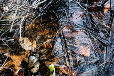 Ice with leaves underneath and pattern