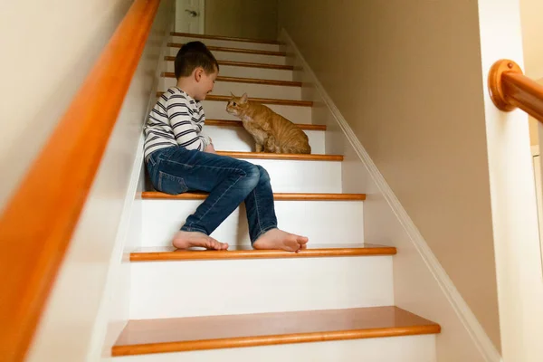 Orange Chat Penche Regarde Vers Garçon Assis Sur Les Escaliers — Photo