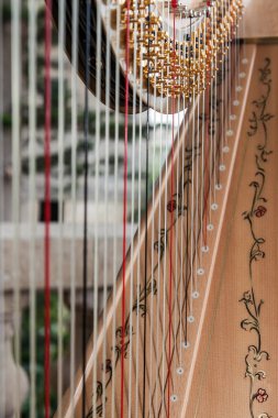 Ahşap arp 'ın kapağını kapatın.