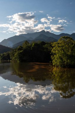 Brezilya 'nın Rio de Janeiro eyaletindeki Atlantik yağmur ormanları ve vahşi göl manzarası