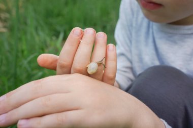 Dışarıda çocuğun elinde salyangoz var.