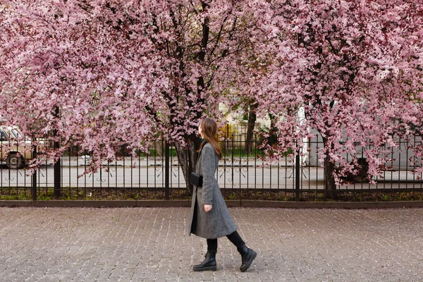 春になると毛布を着た若い女性が桜の間を歩き — ストック写真