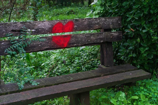公園の木製のベンチの後ろに描かれた明るい赤の心を閉じます — ストック写真