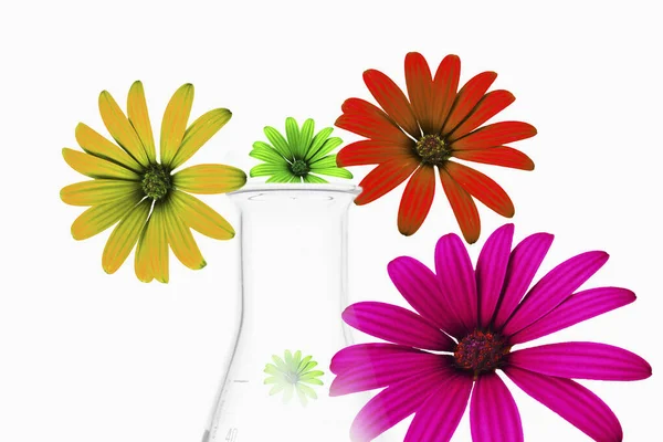 Illustration Flowers Conical Flask — Stock Photo, Image