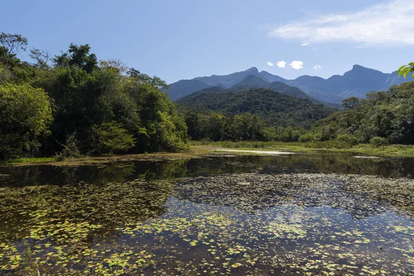 Beautiful Landscape Atlantic Rainforest Mountains Wild Lake Rio Janeiro State — 스톡 사진