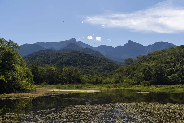 Krásná Krajina Atlantických Deštných Pralesů Divokého Jezera Státě Rio Janeiro — Stock fotografie