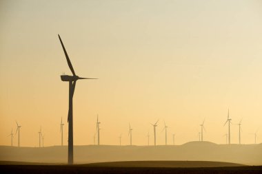 Silhouettes of a group of wind turbines at sunrise.