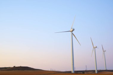Wind turbines for the production of renewable electricity at dawn.