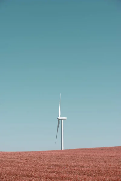 用于在草地上生产可再生电力的风力涡轮机 — 图库照片