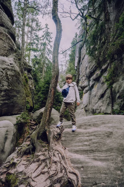 Adrspach Teplice Kayaları Ndaki Çocuk Doğa Macerası — Stok fotoğraf