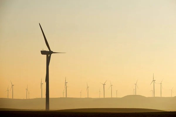 Silhouettes Group Wind Turbines Sunrise — Zdjęcie stockowe