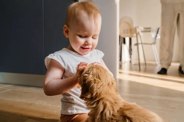 Criança Menina Criança Brincando Com Filhote Cachorro Maltipu Chão — Fotografia de Stock