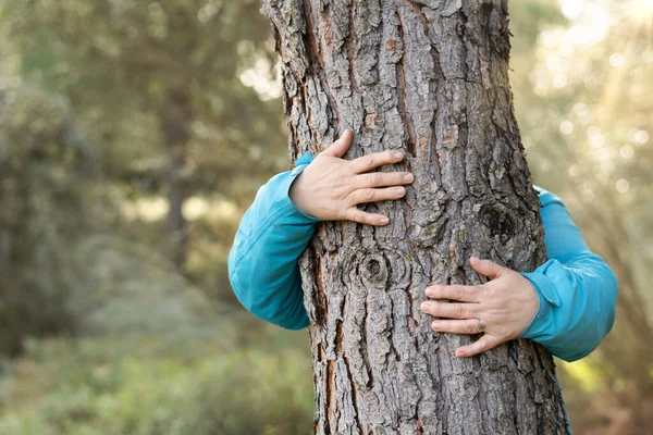 在森林里拥抱一棵树的女人 — 图库照片