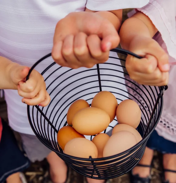 Stock image kids holding a basket of eggs