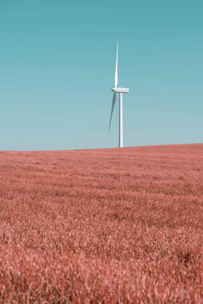 Větrná Turbína Pro Výrobu Obnovitelné Elektřiny Louce — Stock fotografie