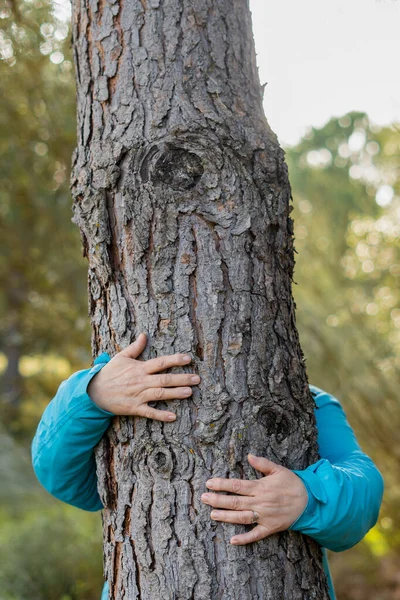 Женщина Обнимает Дерево Лесу — стоковое фото