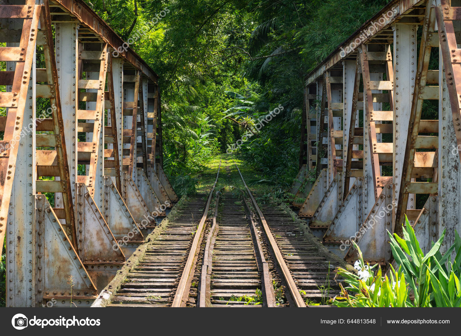 Beautiful View Old Historic Iron Railroad Tracks Bridge Green