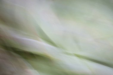 Soyut Sulu 'nun yakın plan görüntüsü