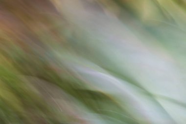 Soyut Sulu 'nun yakın plan görüntüsü