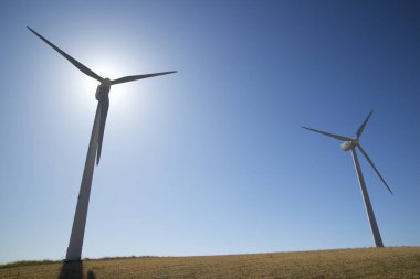 İspanya 'da elektrik üretimi için yel değirmenleri.