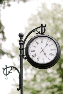 Doğa parkında sokak saati