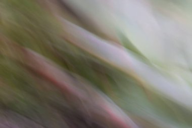 Soyut Sulu 'nun yakın plan görüntüsü