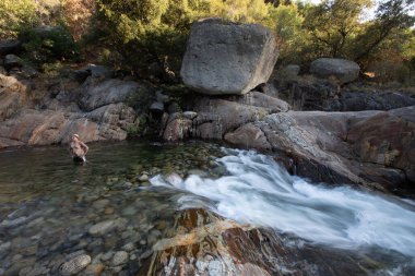 Orta Çatal Kaweah Nehri 'nde bir adam duruyor.
