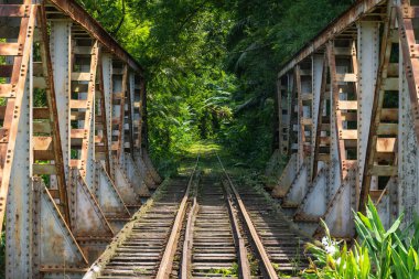 Yeşil yağmur ormanları, Morretes, Paran, Brezilya 'daki eski tarihi demiryolu raylarının ve köprünün güzel manzarası 