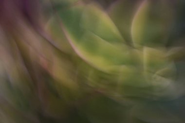 Soyut Sulu 'nun yakın plan görüntüsü