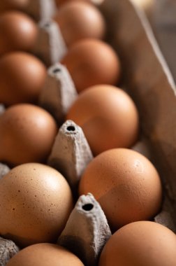 Pencere ışığı yanında bir karton kahverengi organik yumurta yakın