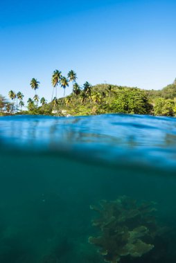 Rincon, Porto Riko 'daki Tres Palmas Deniz Koruma Alanı