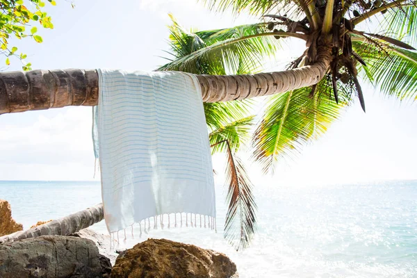 波多黎各一条挂在棕榈树上的土耳其毛巾 — 图库照片