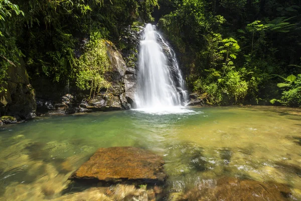 Salto Morato Ekolojik Rezervi, Guaraqueaba, Paran, Brezilya 'daki yeşil Atlantik yağmur ormanlarının güzel manzarası 